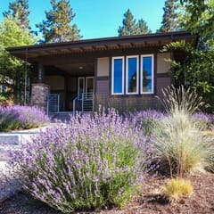 Modern Nordic Nest: Sauna & Stroll to Galveston